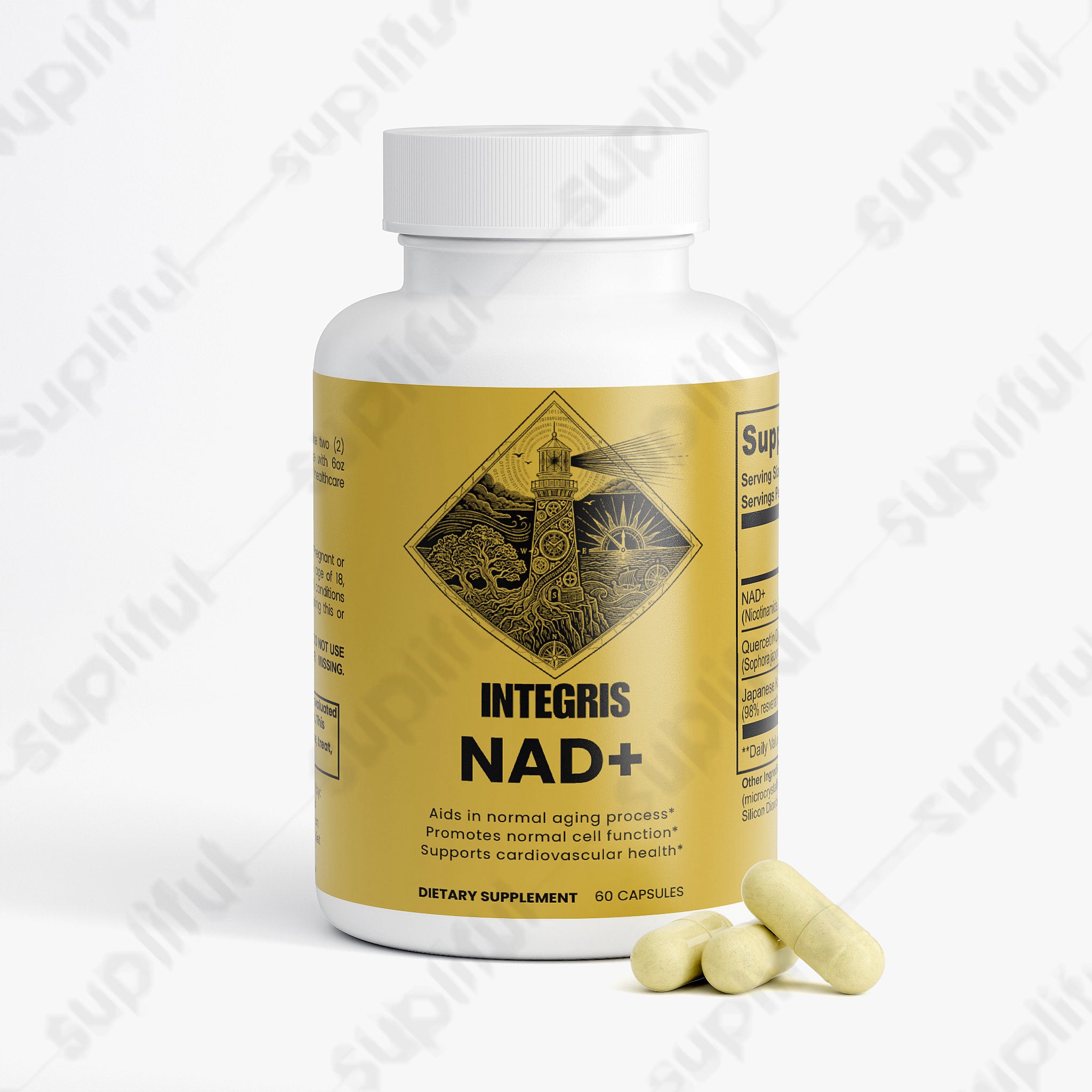 Nicotinamide Adenine Dinucleotide with Resveratrol Complex - 60 Capsules