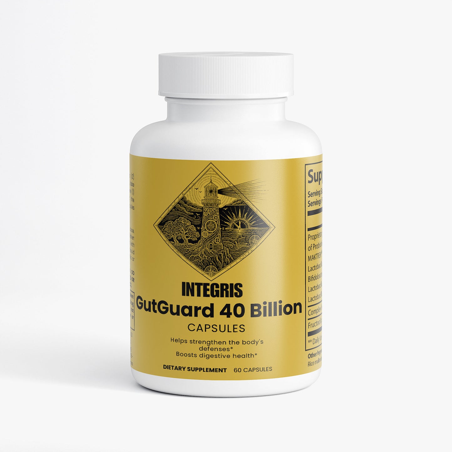 Multi-Strain Bacteria Blend and Prebiotics for Wellness - 60 Capsules