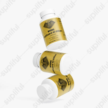 Multi-Strain Bacteria Blend and Prebiotics for Wellness - 60 Capsules