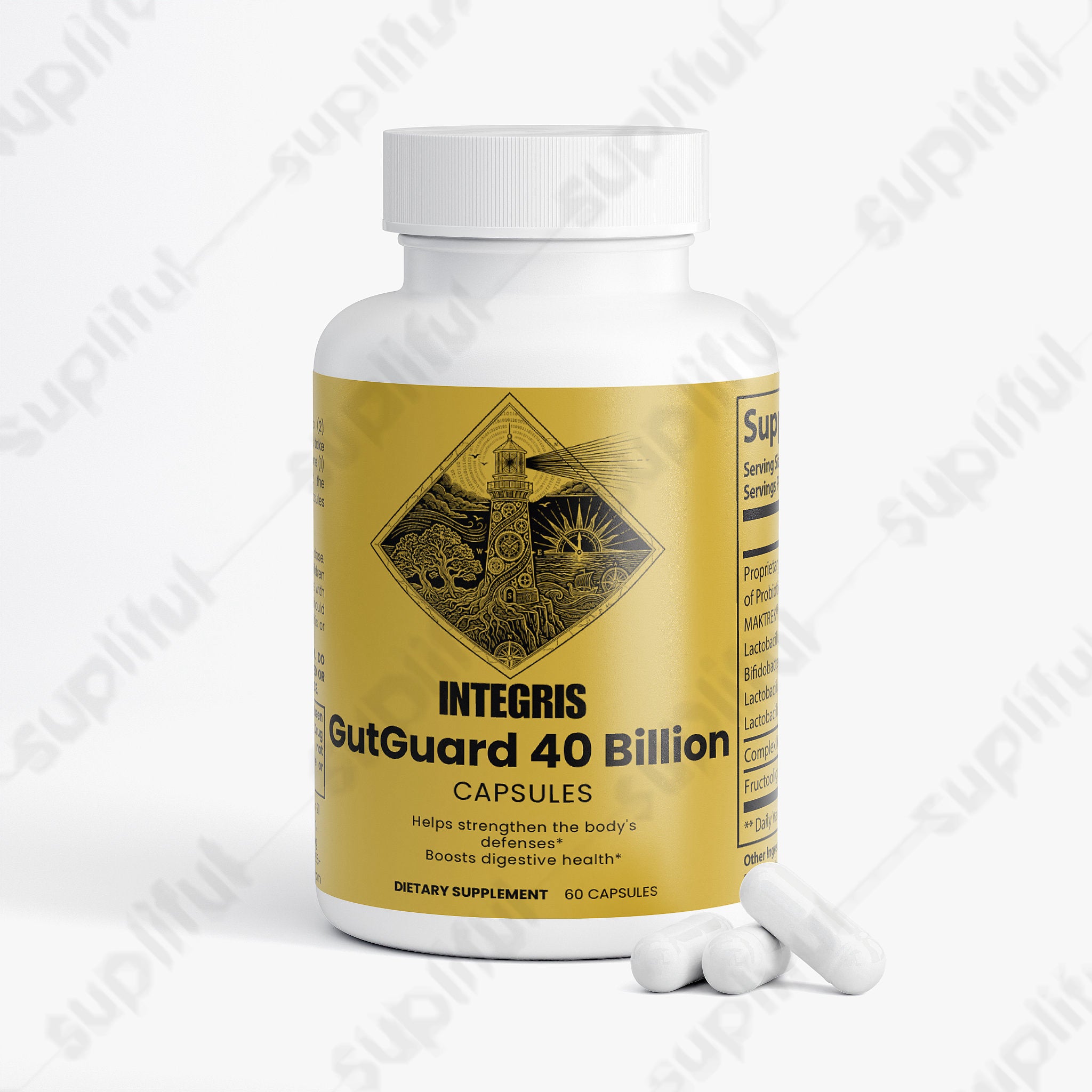 Multi-Strain Bacteria Blend and Prebiotics for Wellness - 60 Capsules