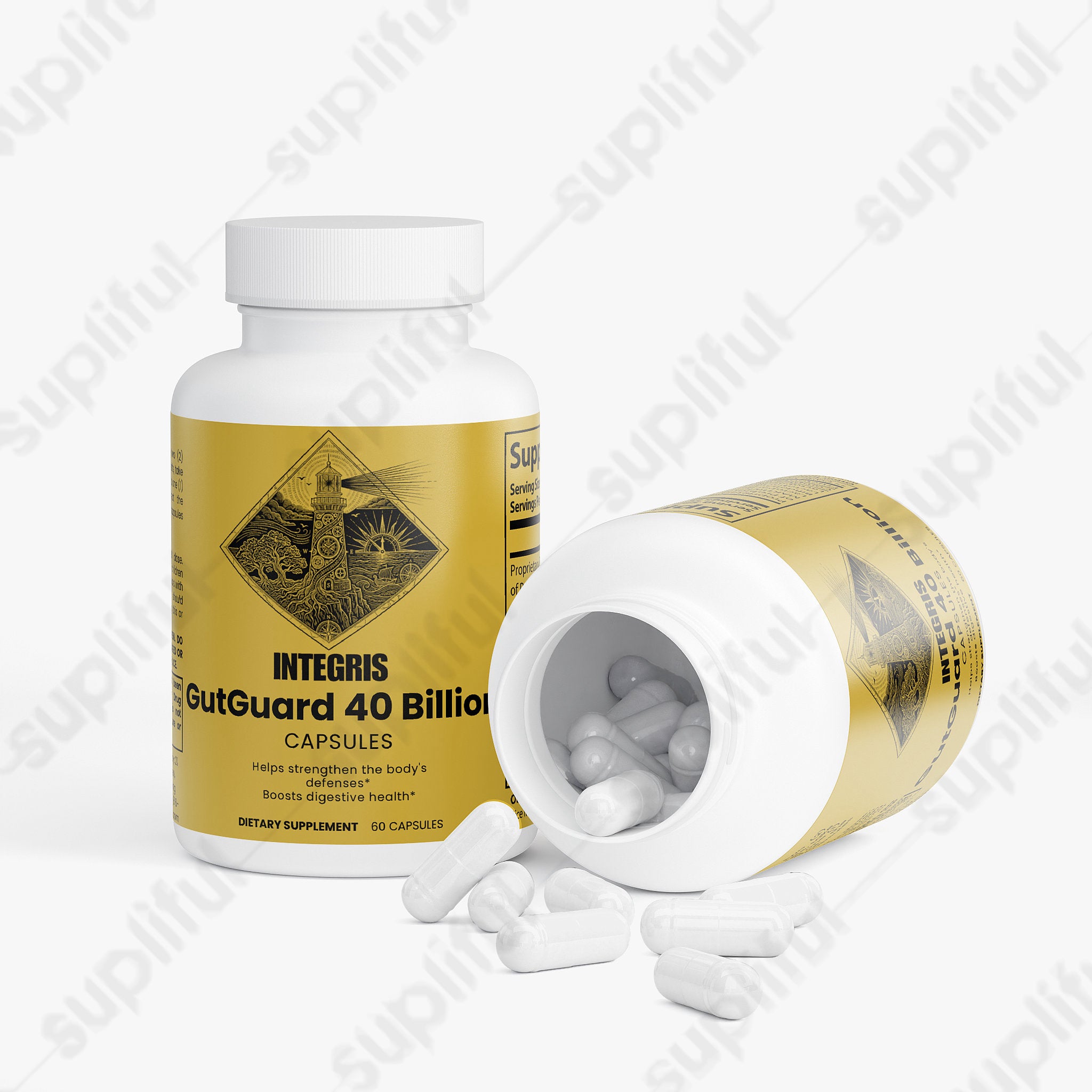 Multi-Strain Bacteria Blend and Prebiotics for Wellness - 60 Capsules
