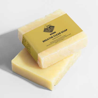 INTEGRIS Breathe Clear Aromatherapy Bar Soap 4 oz (113g)