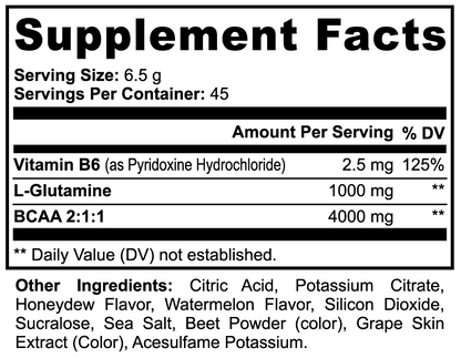INTEGRIS Branched Chain Amino Acids and L-Glutamine Workout Powder Honeydew Watermelon Flavor 292g